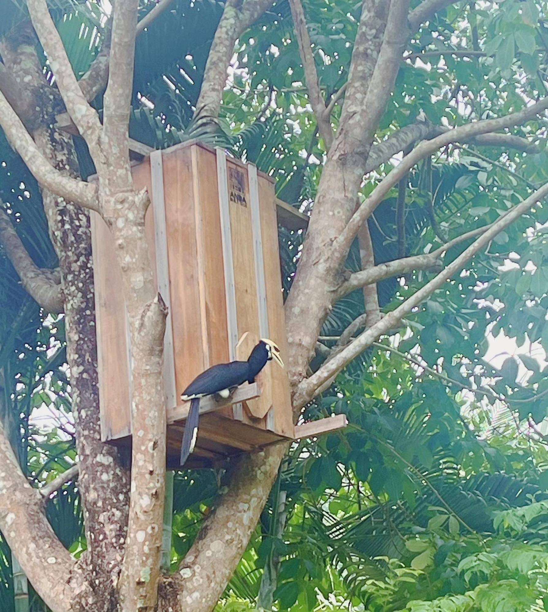 Najjamee Bungalows 阁遥岛 外观 照片